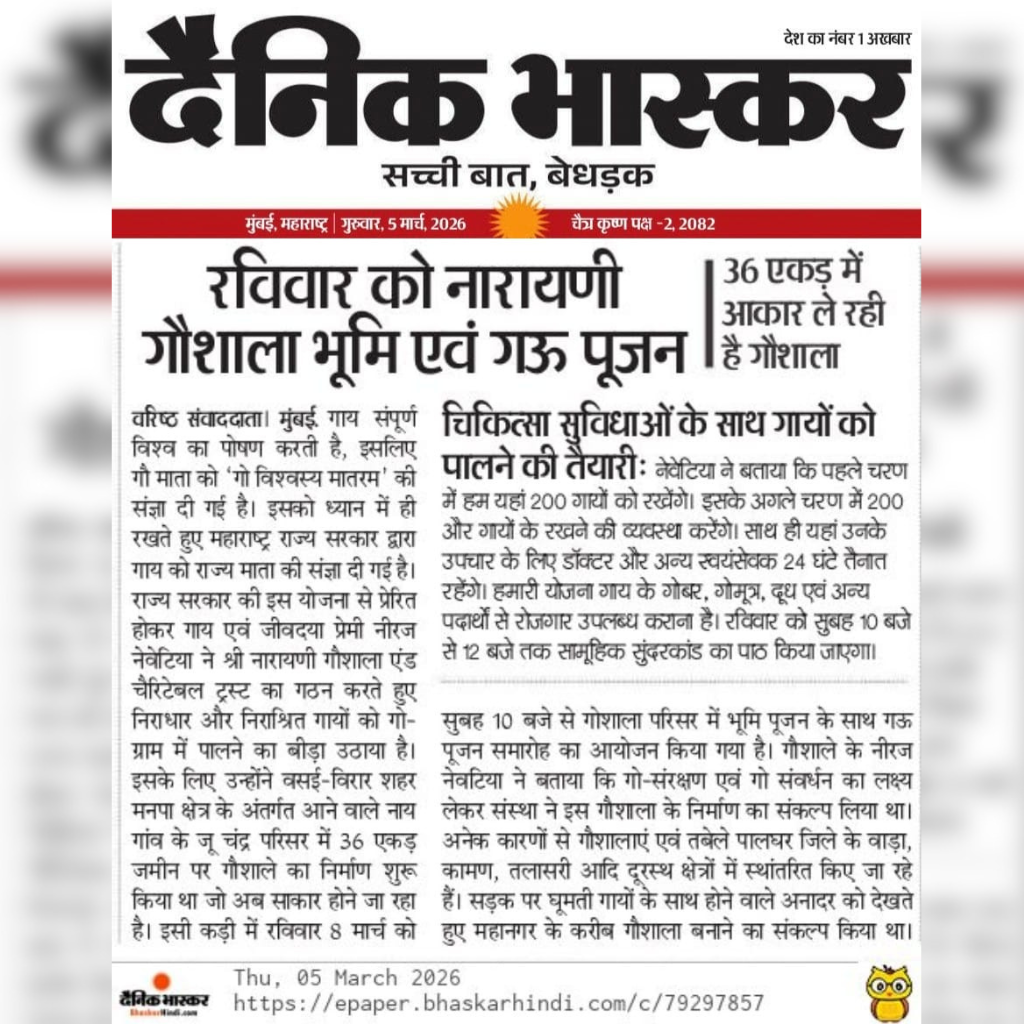 Proper facilities for medical care, food, and protection of the cows are being developed.